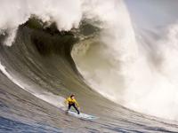 IM电竞官网-赛道与赛场，F1揭幕战悬念与勇士王朝的提前宣告