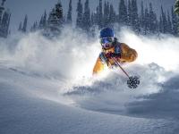 IM电竞-硬仗见真章，老鹰啄穿活塞，塔图姆临危救主成关键先生