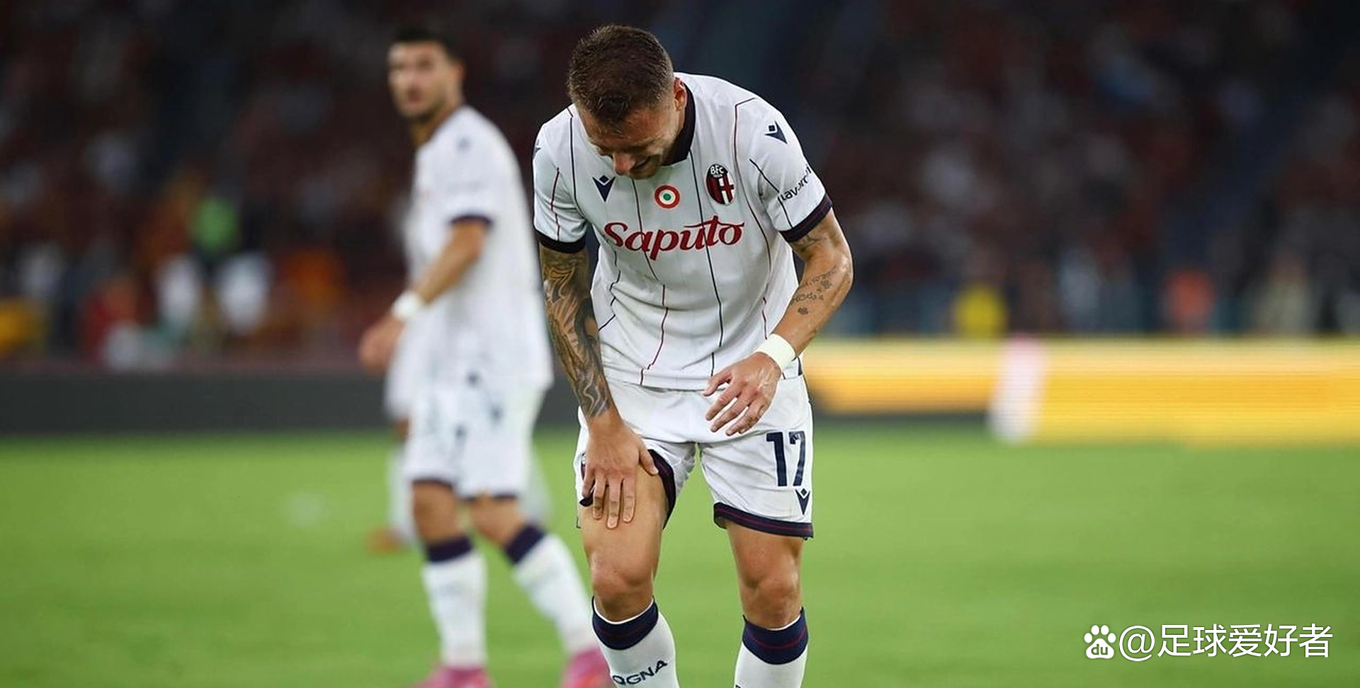 博洛尼亚战术调整成功，下一场比赛或成全队关注焦点的简单介绍