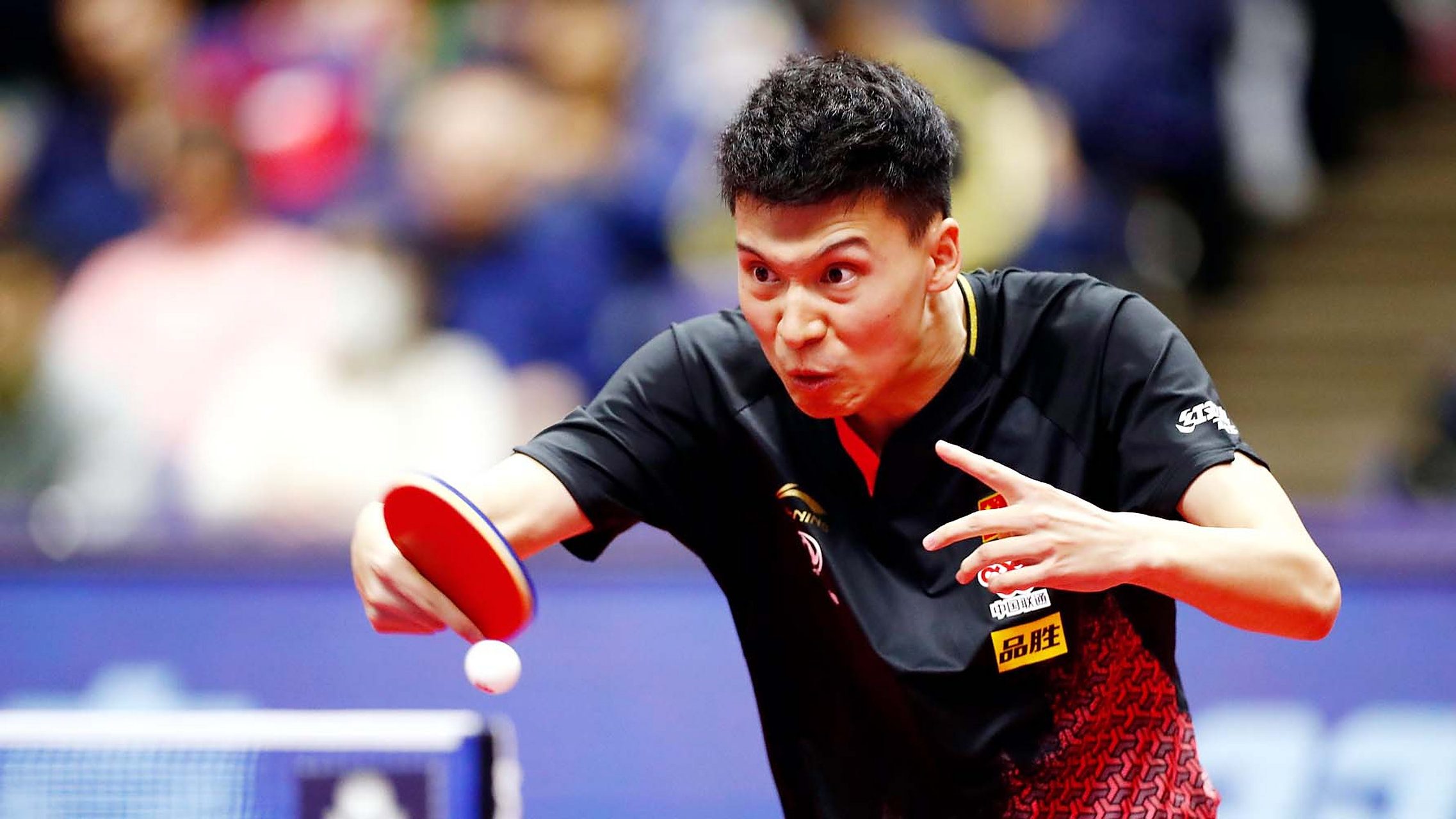 突尼斯田径选手再夺桂冠，声名大振的简单介绍